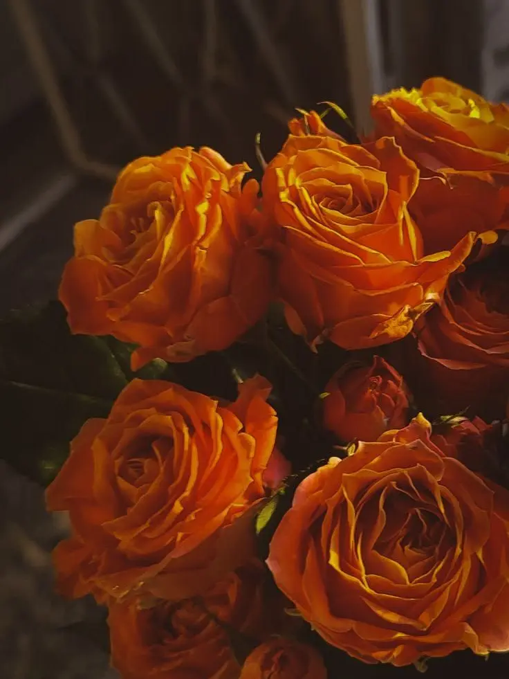 dpxnp의 선도부에게 쌩얼을 들켜버렸다