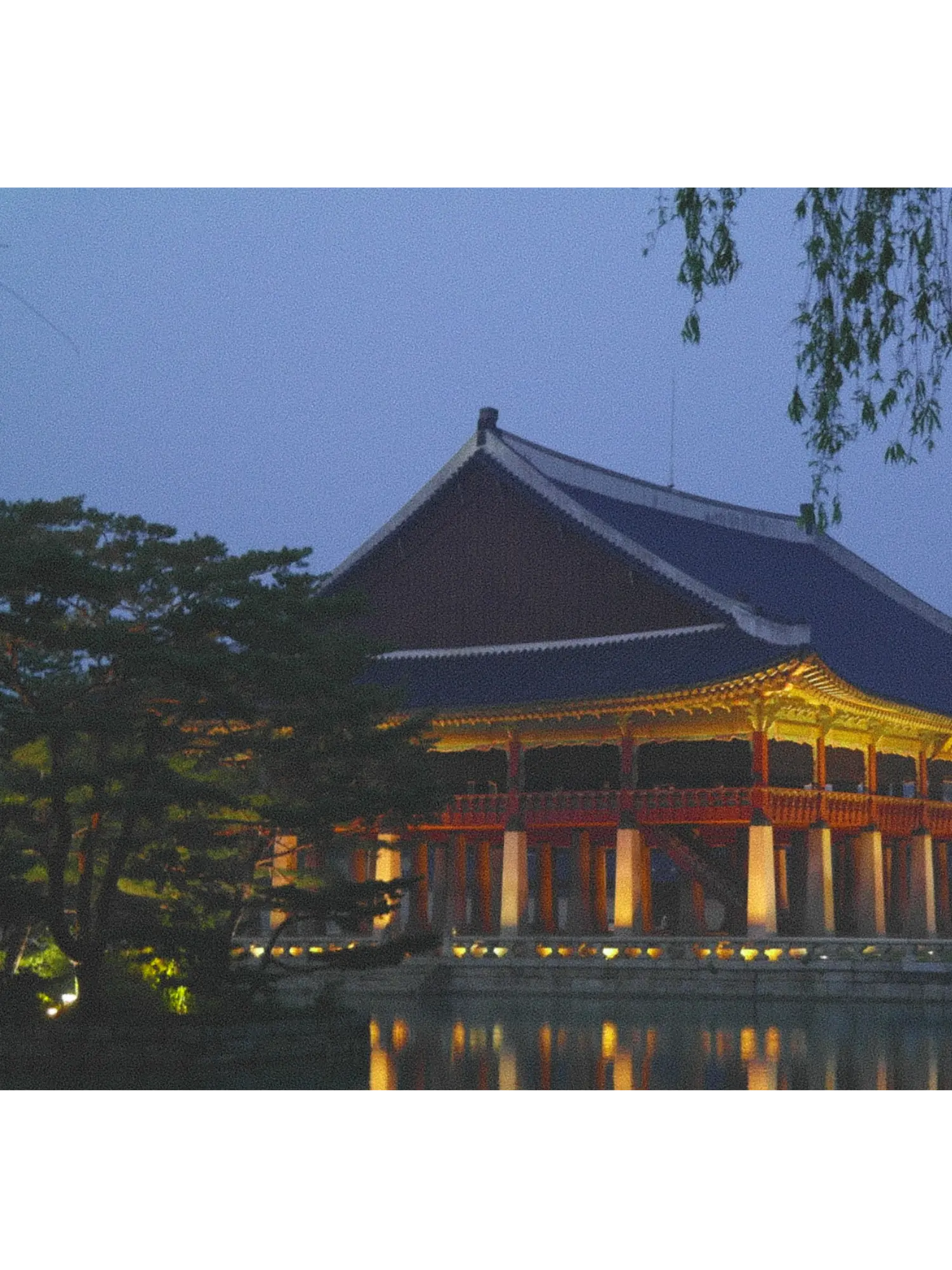 93929의 ㅤ