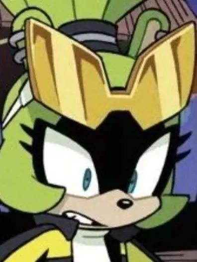 SuppleMiner1382의 Sonic high school
