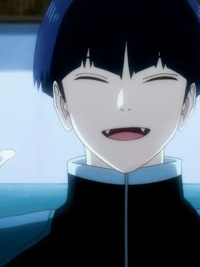 ClumsyBoat5624의 호시나 부대장님