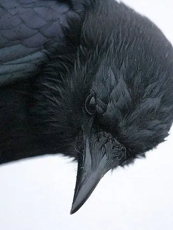 Ren15JACK63의 自分用〜☺️