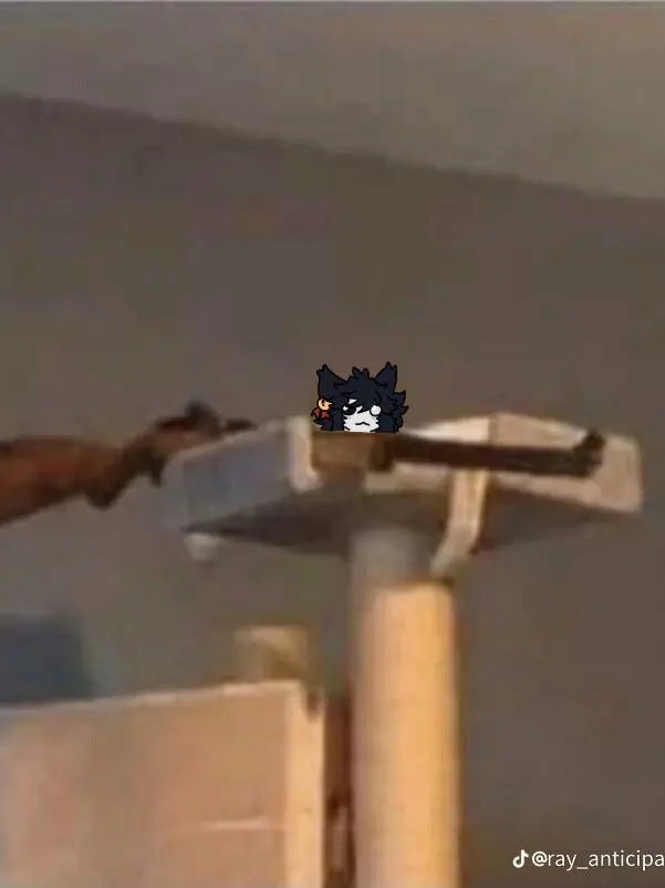 riann_Wh04r3y0u.의 Swap Academy___