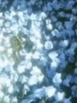 StickyBall3921의 なんでバラしてんだよ！！！