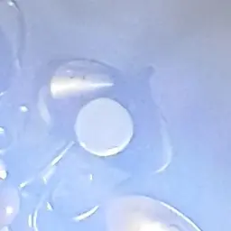 G-dragonJoker_1988의 권지용