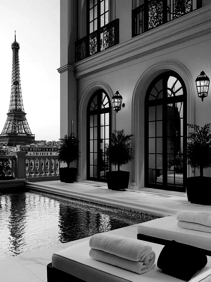 elelelele의 🐺🔥🦊🔥🦝