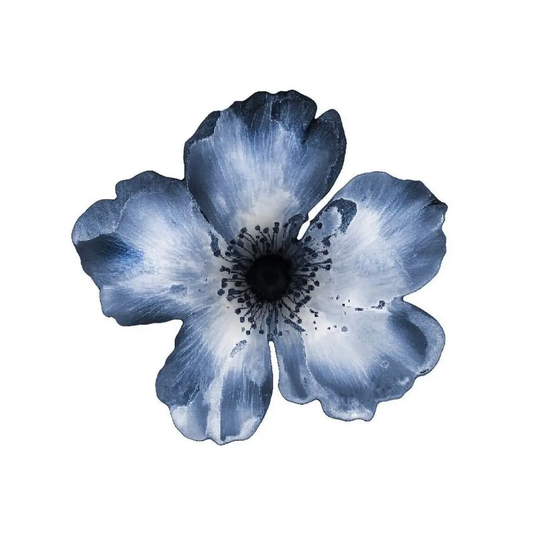 Fmshs의 토키토 무이치로