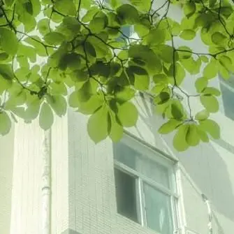 TimidPast0411의 내 첫사랑은 선도부