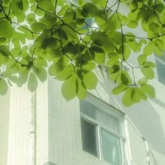 내 첫사랑은 선도부