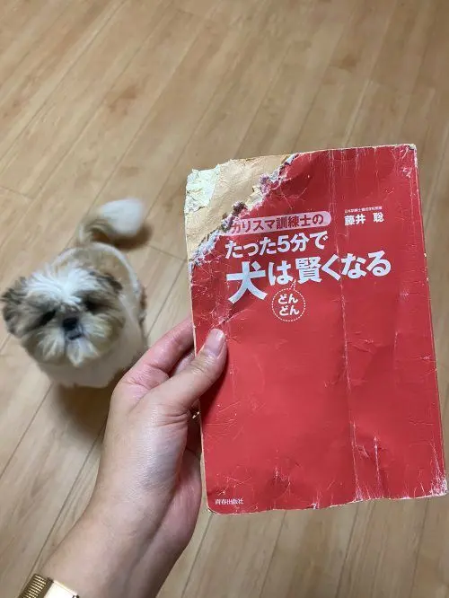 GrumpyFrond4139의 仮面ライダーマイス