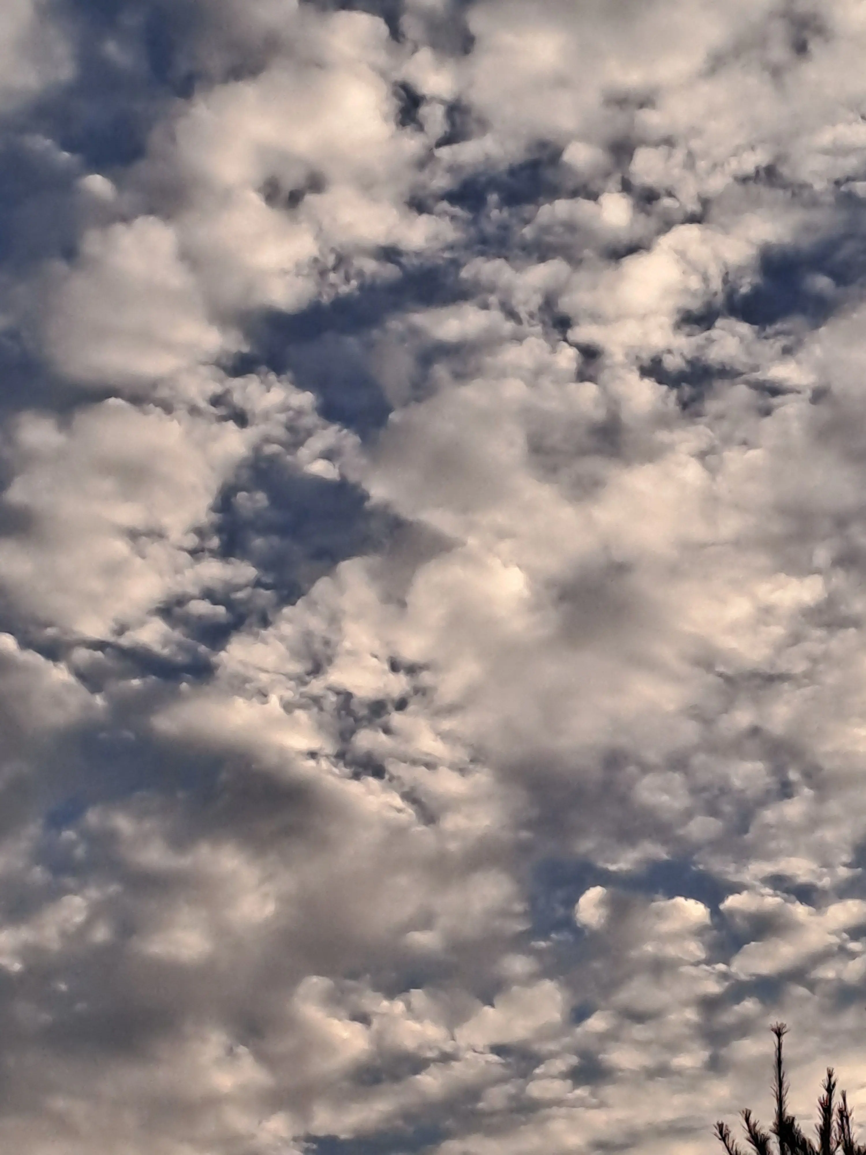 MagicMotor8296의 천사 au