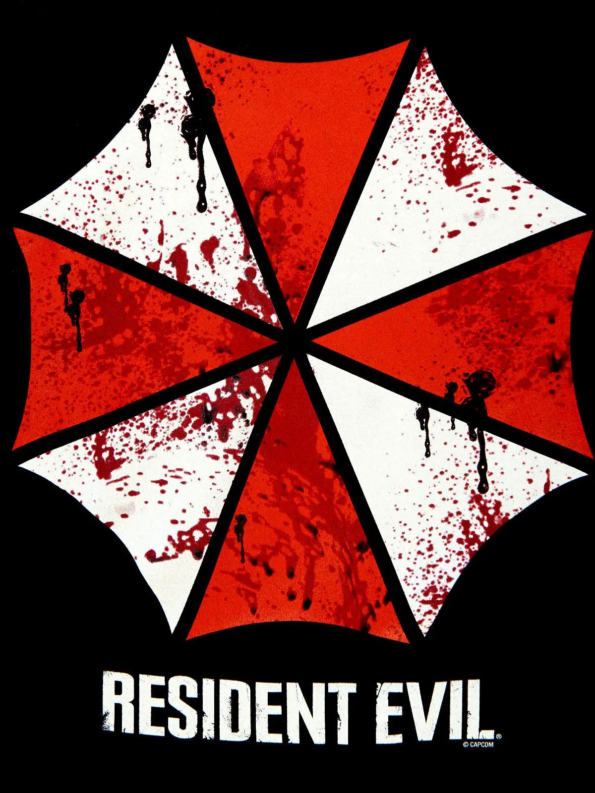 Larafan18의 Resident Evil House