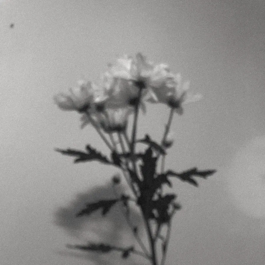 SoggyCrumb의 못 보고 덜 느끼는 친구