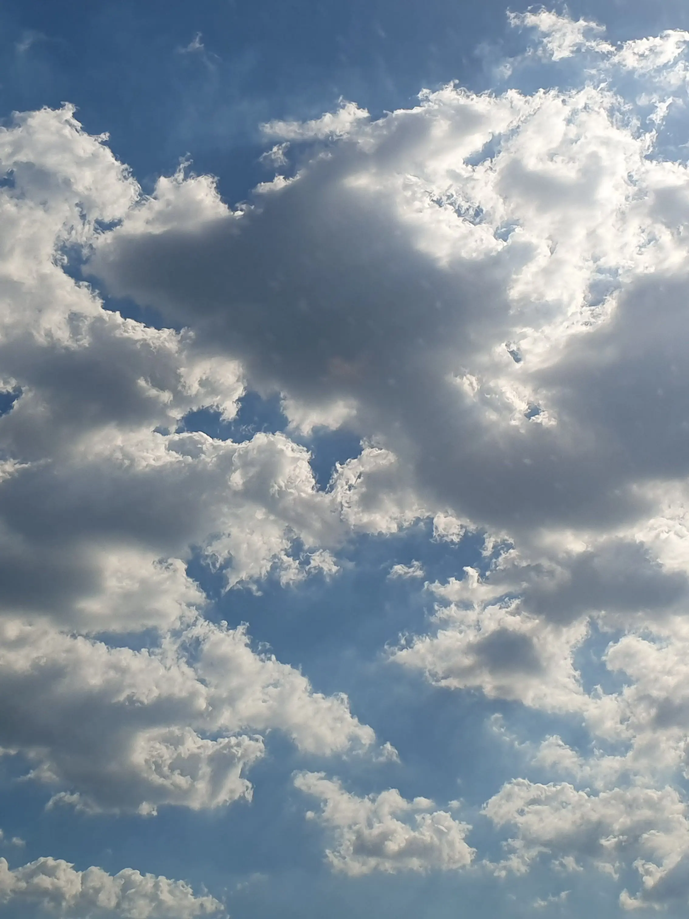 cooker0707의 감정있는 로봇, 로보 프로스터