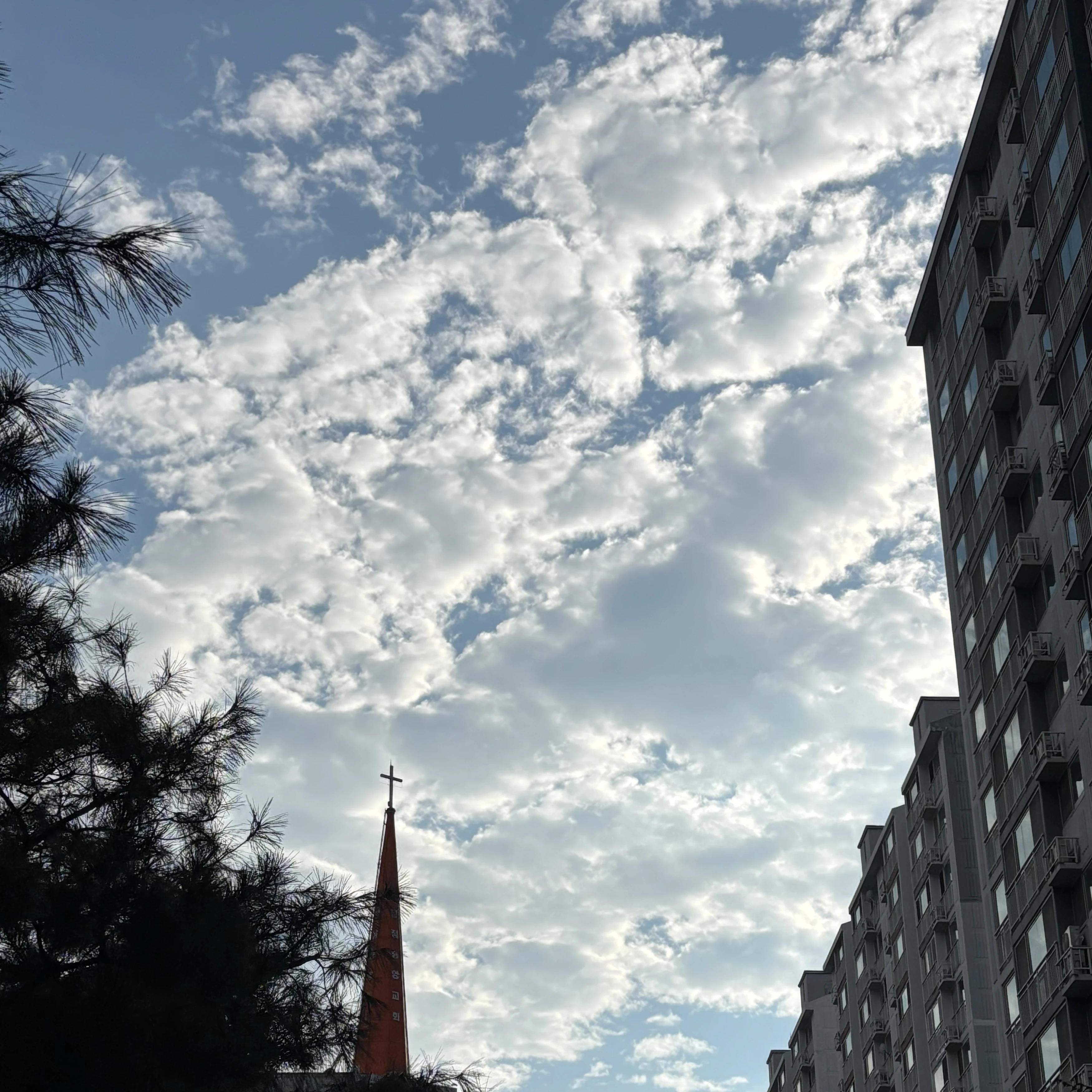 베리즈가족