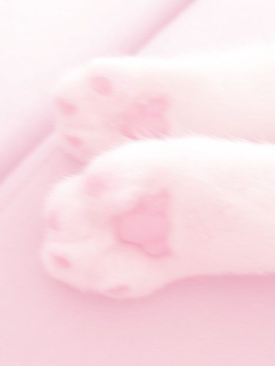 "배우 생활 어카냐~" 대표 이미지