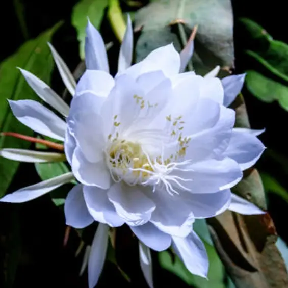 Lily_777의 BL 쌉가능 HL 쌉가능