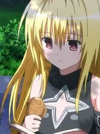 Wakusandesuyo의 ToLOVEる