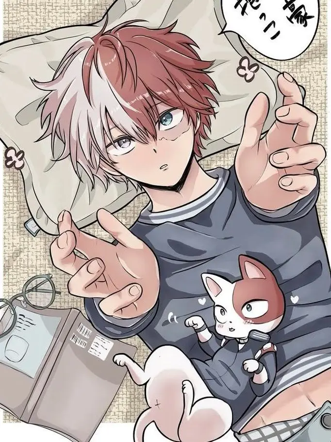 The_Big_J41의 Shoto Todoroki