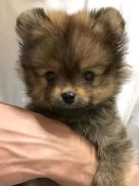 Kit_kAt.0의 동곰이 키우기