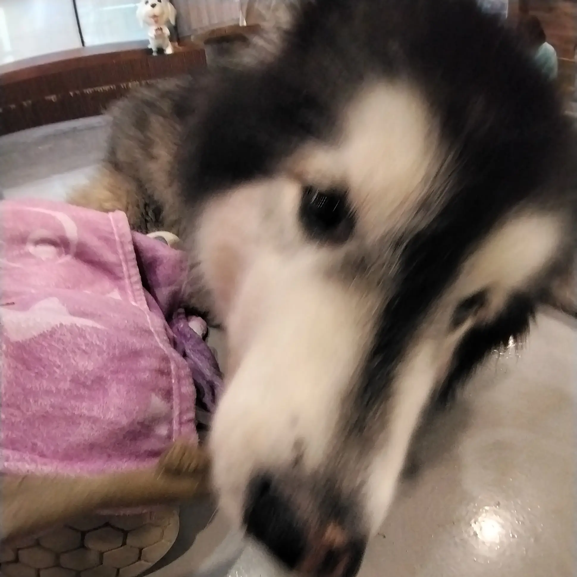 OddRing7159의 당신이 마법소녀!