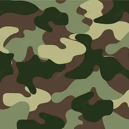 FirmStem6289의 푸른거탑 - 김호창의 동기인 당신