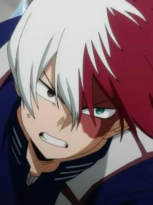 Novachanz의 Shoto Todoroki