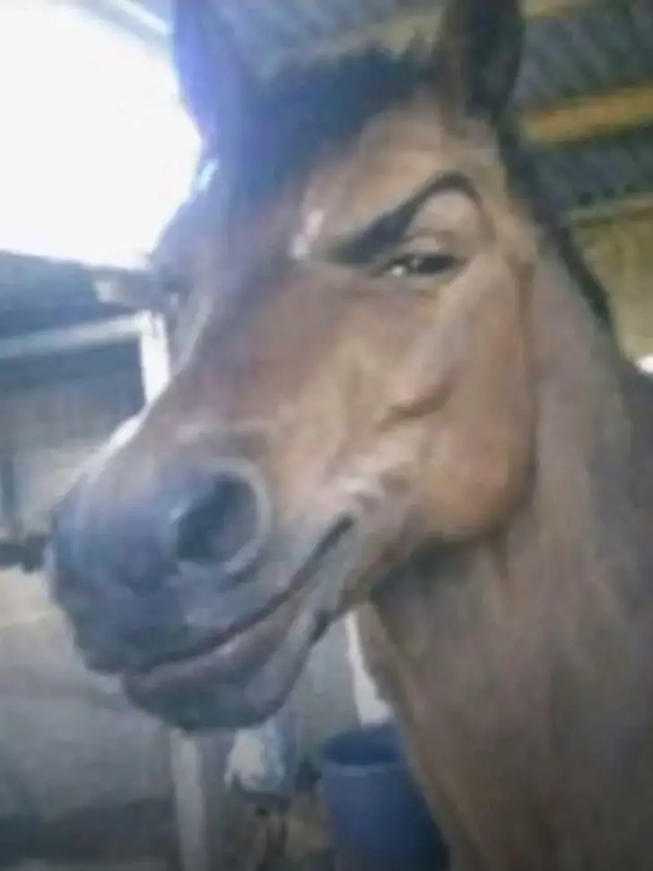 Kir_0의 포세이큰 계급 수인 (+여우)