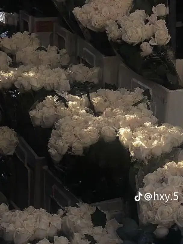 PuristFart6979의 동물병원