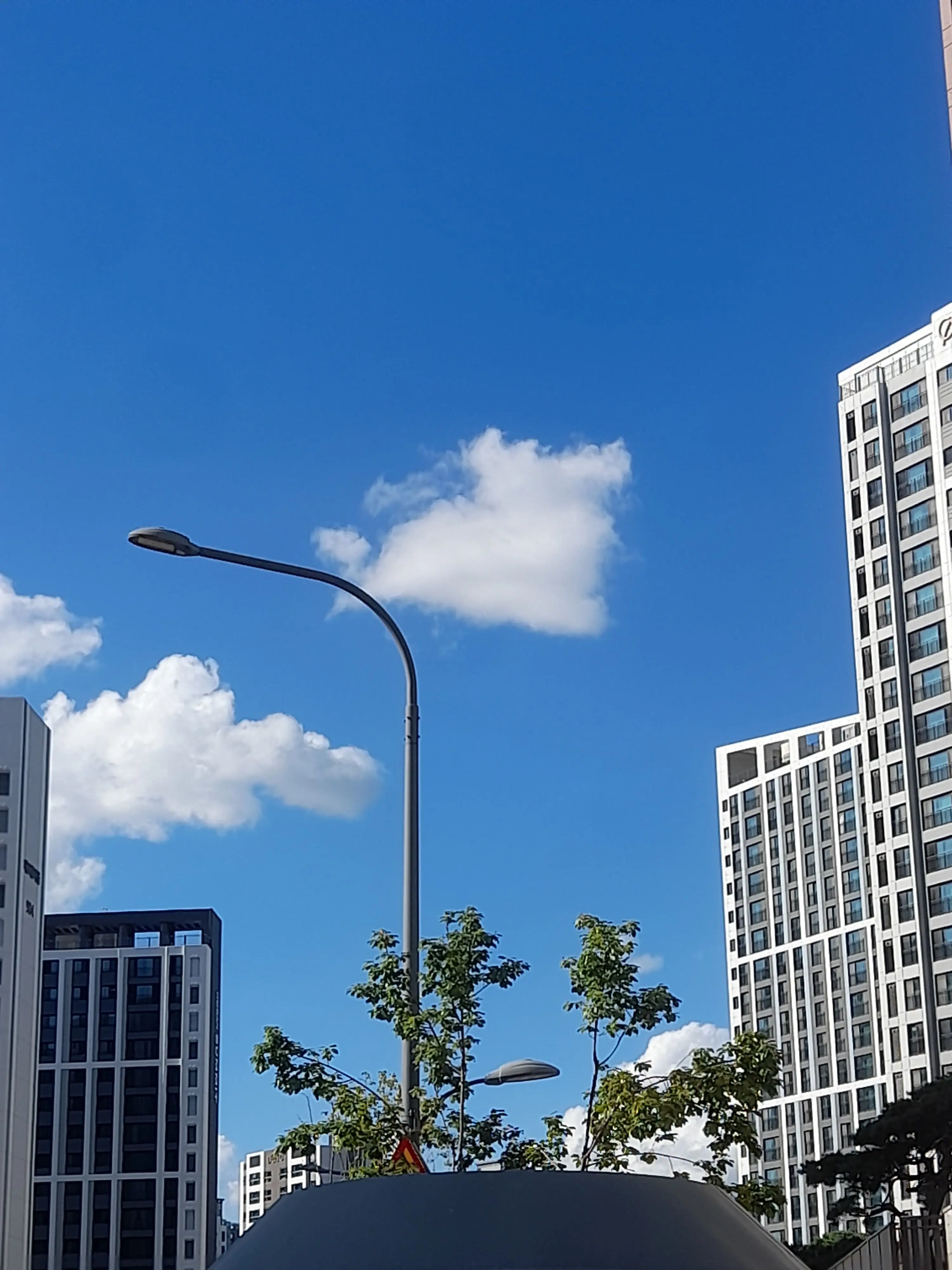 Dog1938의 도망자들