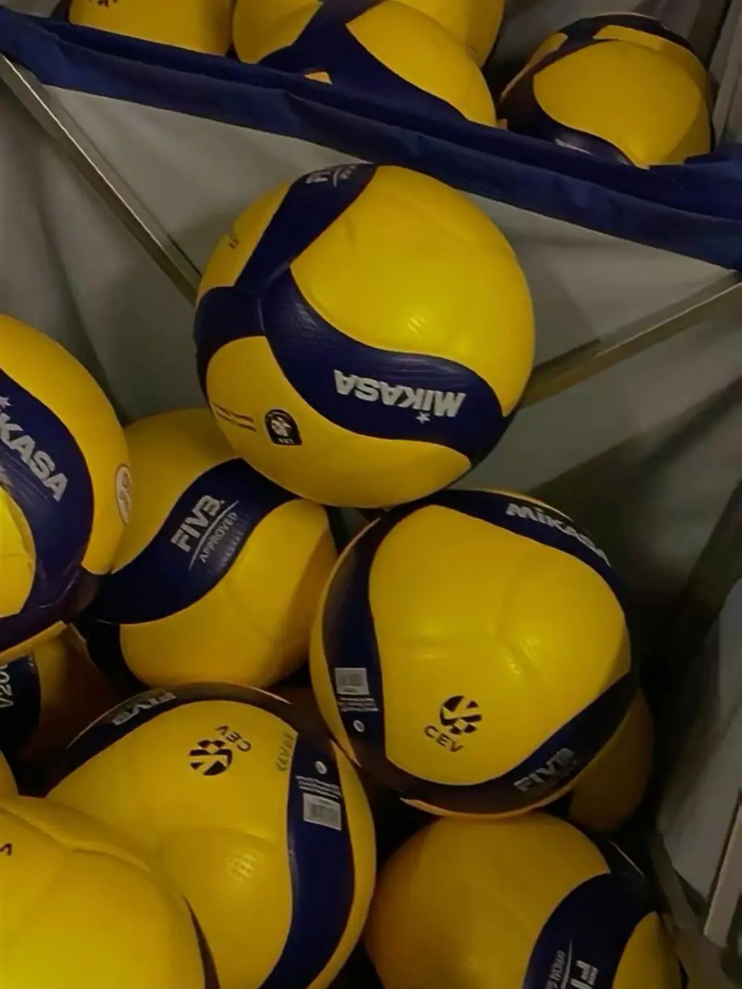 MintySugar1061의 배구부