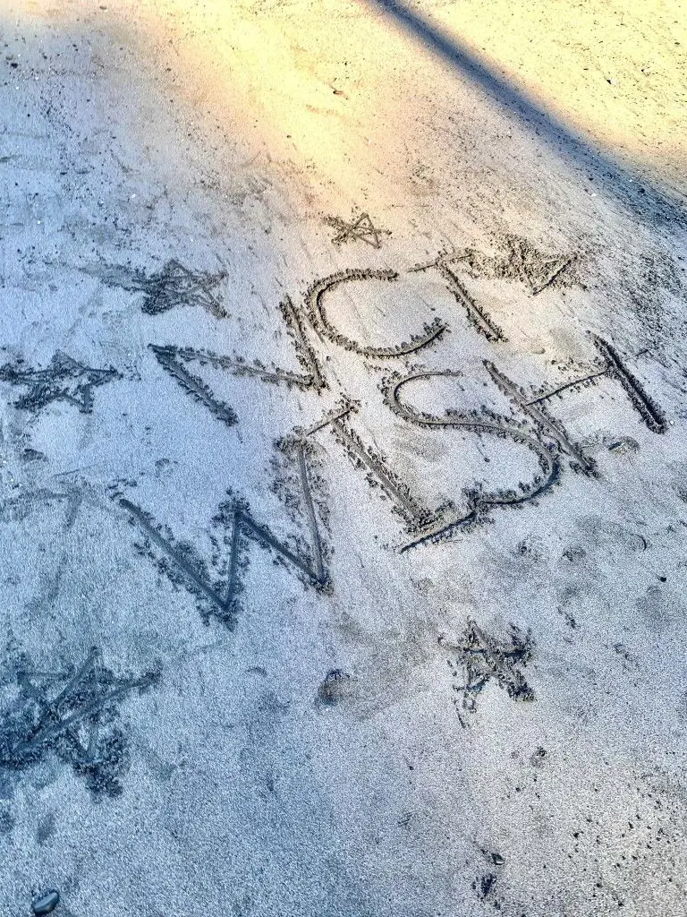 PetiteTowel2943의 好きだと言えない