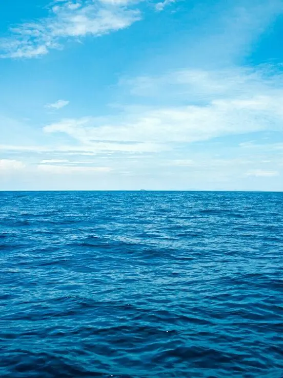 GreasyGulf0929의 ワンピース