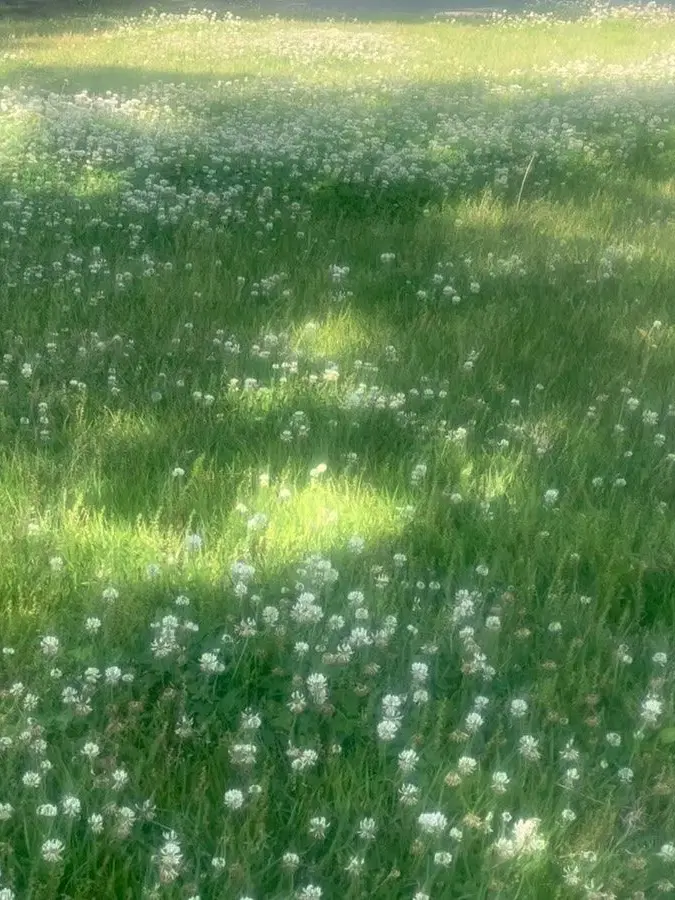 OOO_OOO_O의 神よりも貴いもの