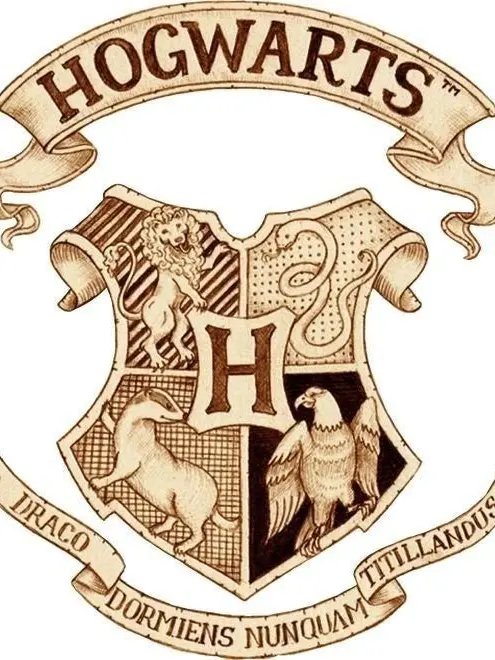 SoreDhole6452의 해리포터 오대천왕꼬시깅