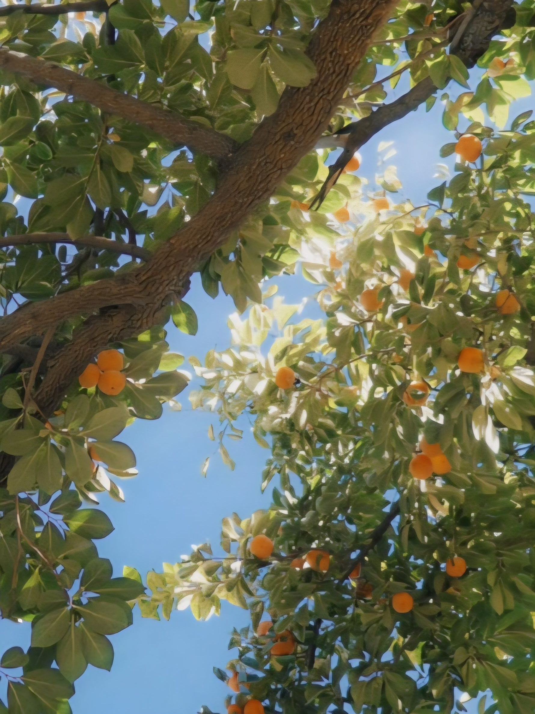 ☀️ 대표 이미지
