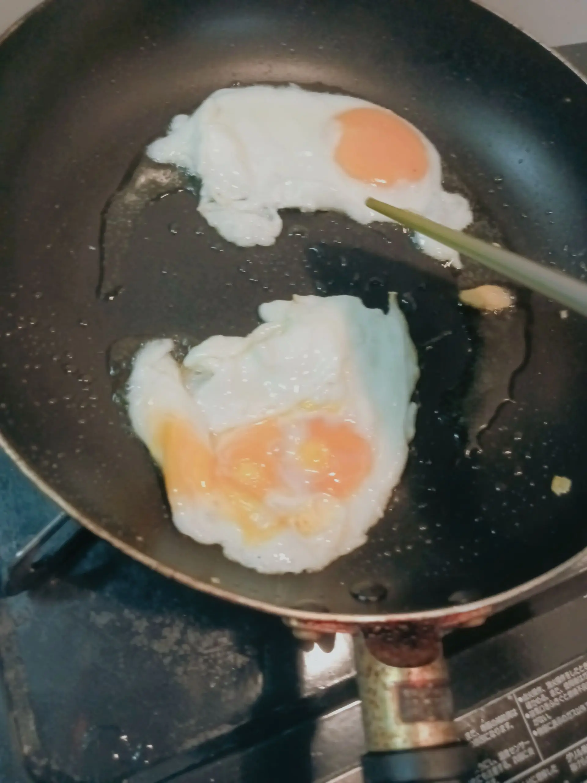 114514191907218104545696767의 採卵鶏種シェドレツキー