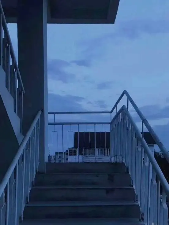 Zz.z의 서브남주로 살아남기