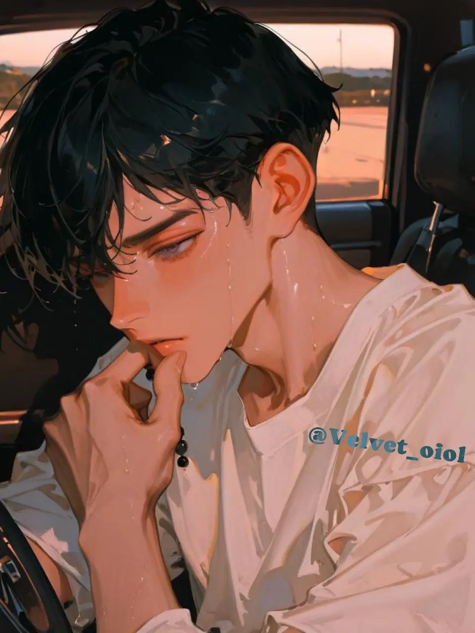 Velvet-oiol의 정도혁