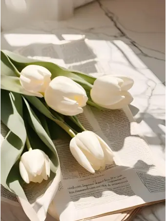Foand411의 미수반 과부하