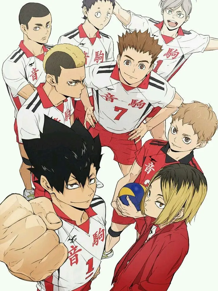 LinearSkirt8126의 ハイキュー