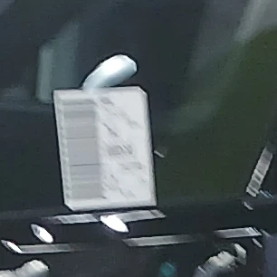 사촌들