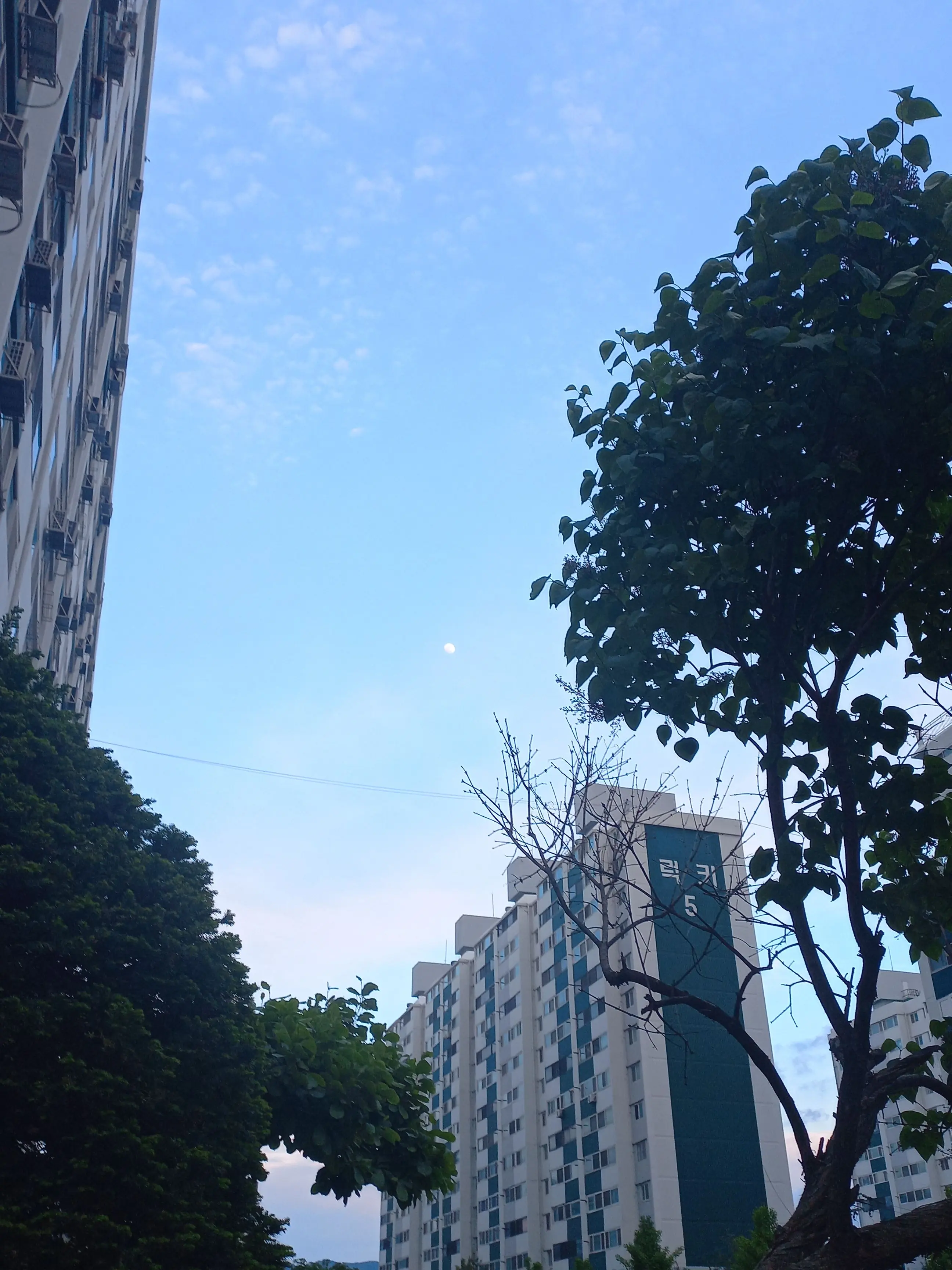TinyGirl4978의 공약지킴니다.