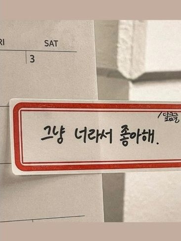 1215 대표 이미지