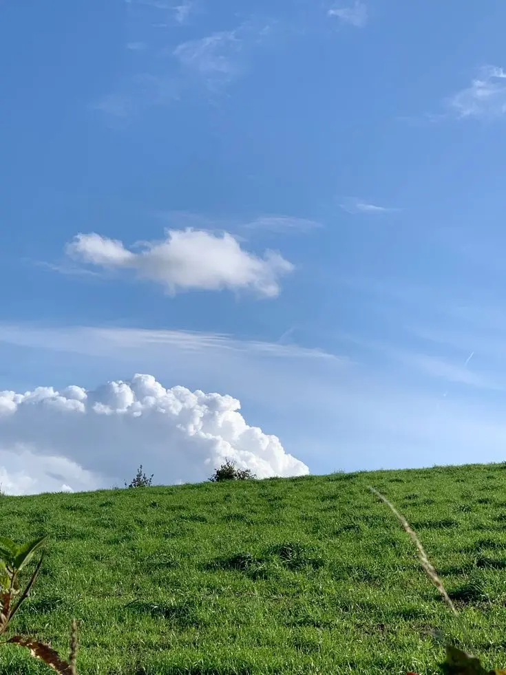 sdh1207의 잭 (빌런)