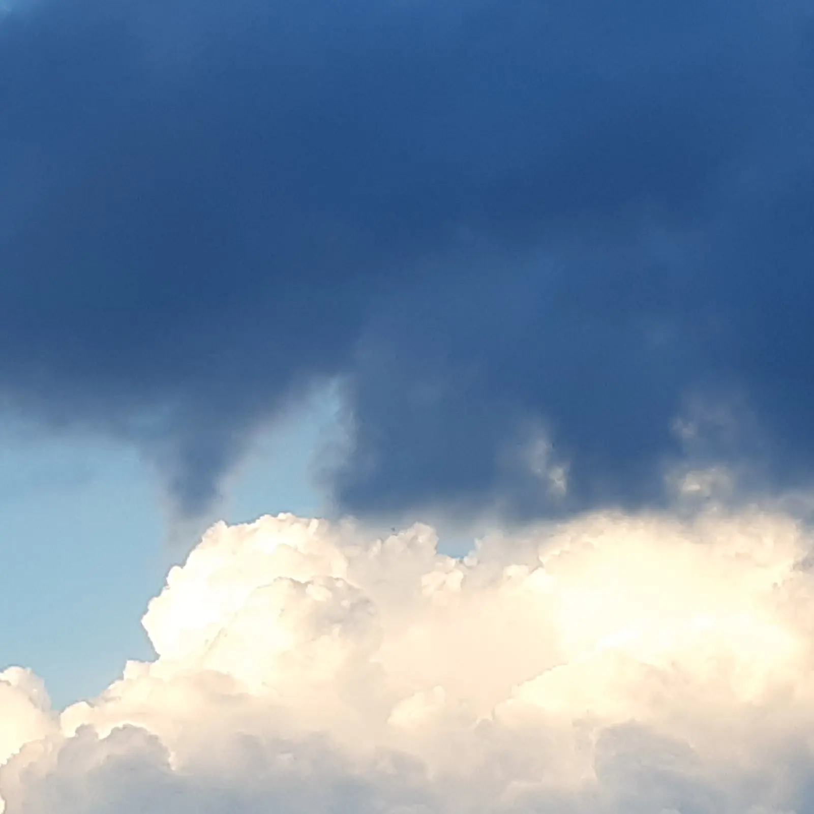 LeafyMap0583의 그림자.