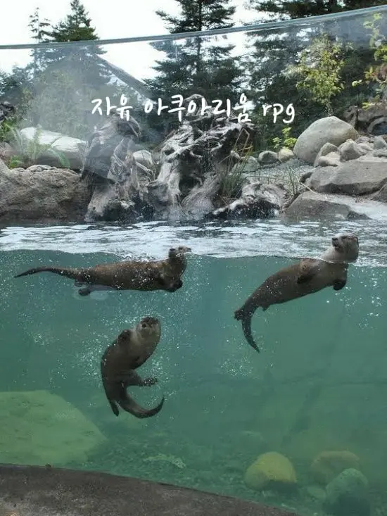 PickyGoose8765의 자유 아쿠아리움 rpg