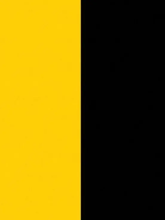 FierceAkita6545의 1