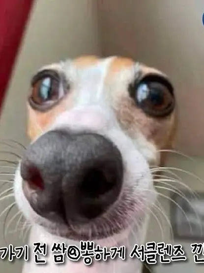 PetiteSleep7786의 당신에게 미쳐버린 여자들