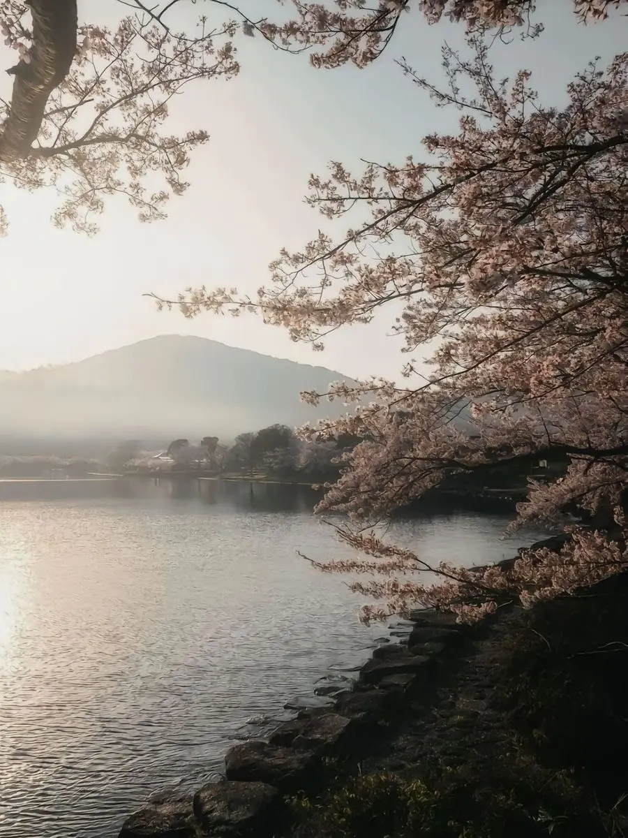 GloomyMiner8535의 Bloodbound Exile