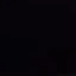5UU5UU5의 혜안져스
